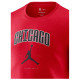 Jordan Ανδρική κοντομάνικη μπλούζα Chicago Bulls Essentials Jordan Ανδρική κοντομάνικη μπλούζα Chicago Bulls Essentials